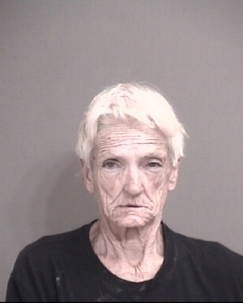 Mugshot of ZALDIVAR, TREASA ARLENE