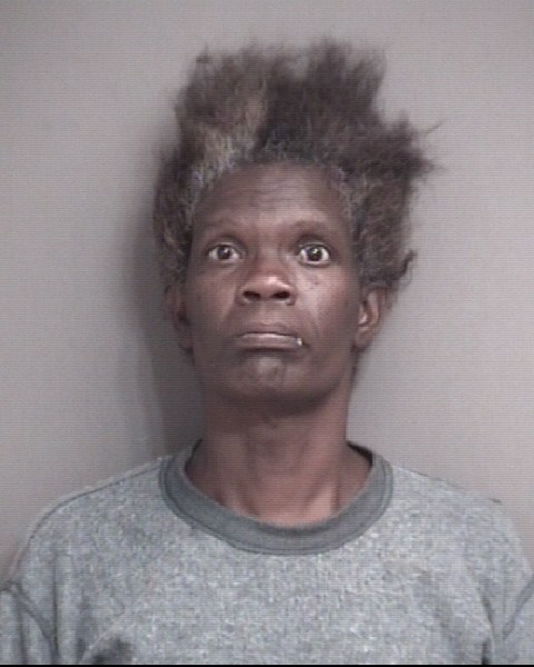 Mugshot of WEST, TERESA FAYE