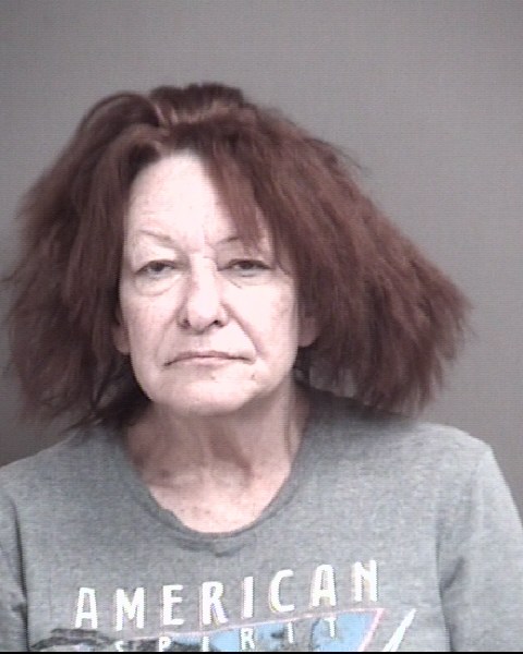 Mugshot of WOOD, LISA JOAN