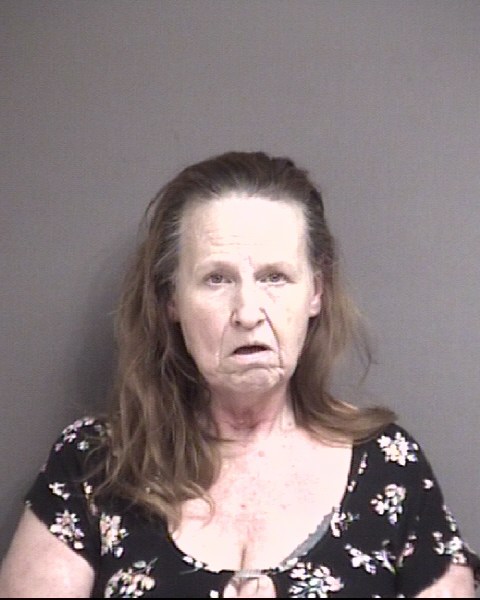 Mugshot of SANDERS, DEBRA SUZANNE