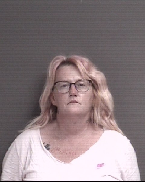 Mugshot of FOWLER, CHRISTY LYNN
