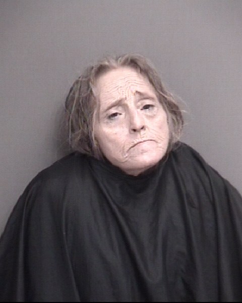 Mugshot of WELCH, DIANA LYNN