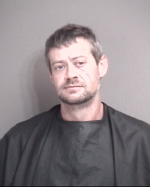 Mugshot of DOUGAN, DANCY CHASE