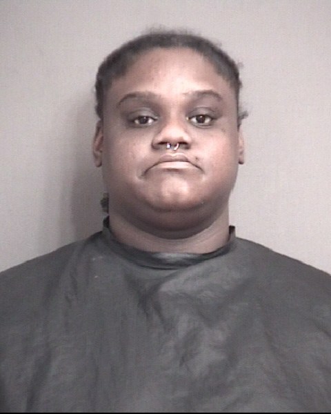 Mugshot of ANDERSON, DIANA LEEANN
