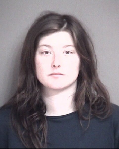 Mugshot of LYONS, CHELBY ANNMARIE