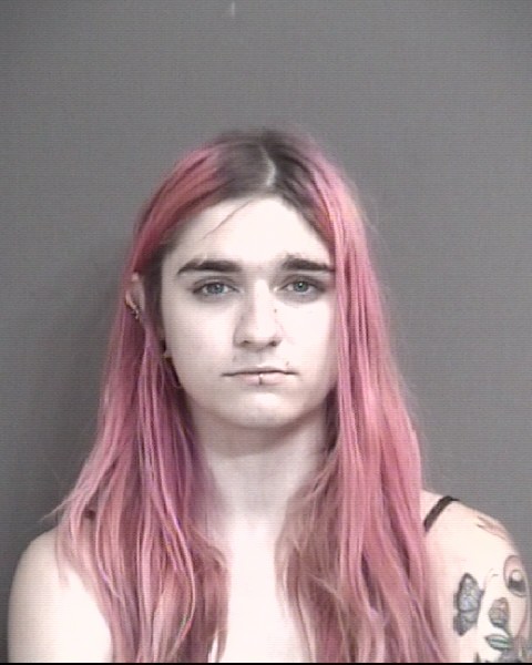 Mugshot of WILCOX, ETHAN ANDREW