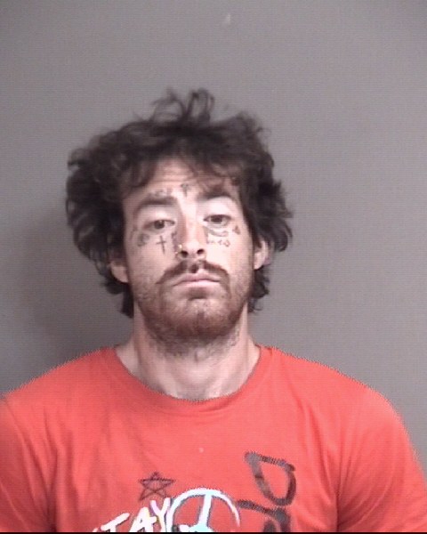 Mugshot of HAUCK, ALLEN L
