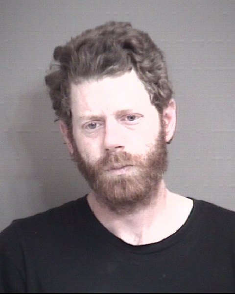 Mugshot of BLEVINS, JESSE RAY