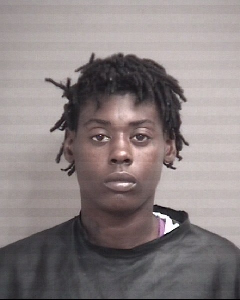 Mugshot of BRYANT, SHANEKA K