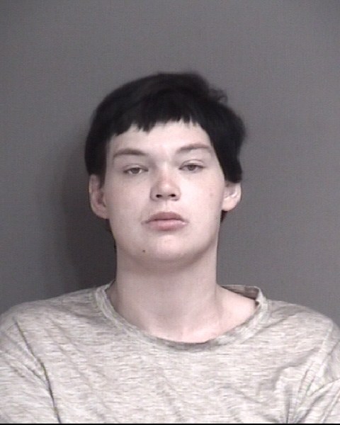 Mugshot of KLINGLER, RODNEY GUY