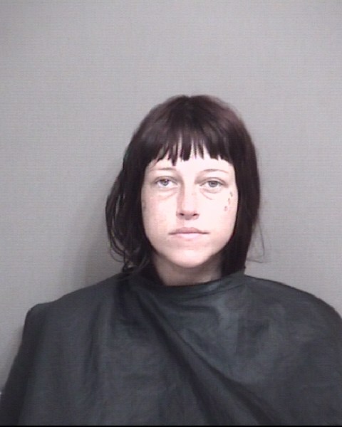 Mugshot of ARRINGTON, HOLLY DALE